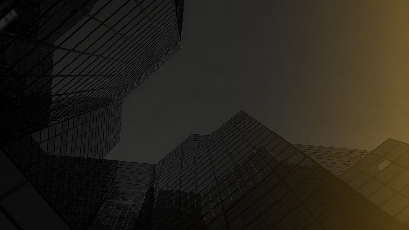 Leadership Background